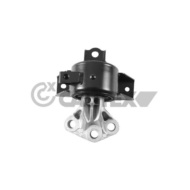 Supporto motore - CAUTEX GOMMA E PARTI MOTORE