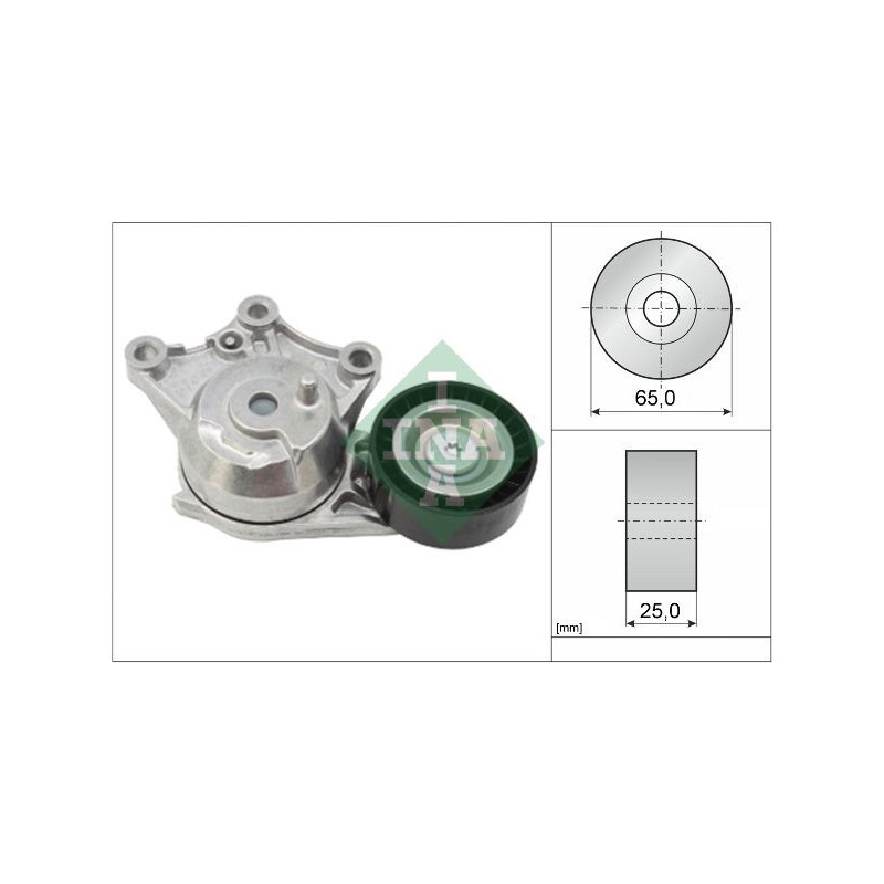 Tendicinghia trapezoidale - INA