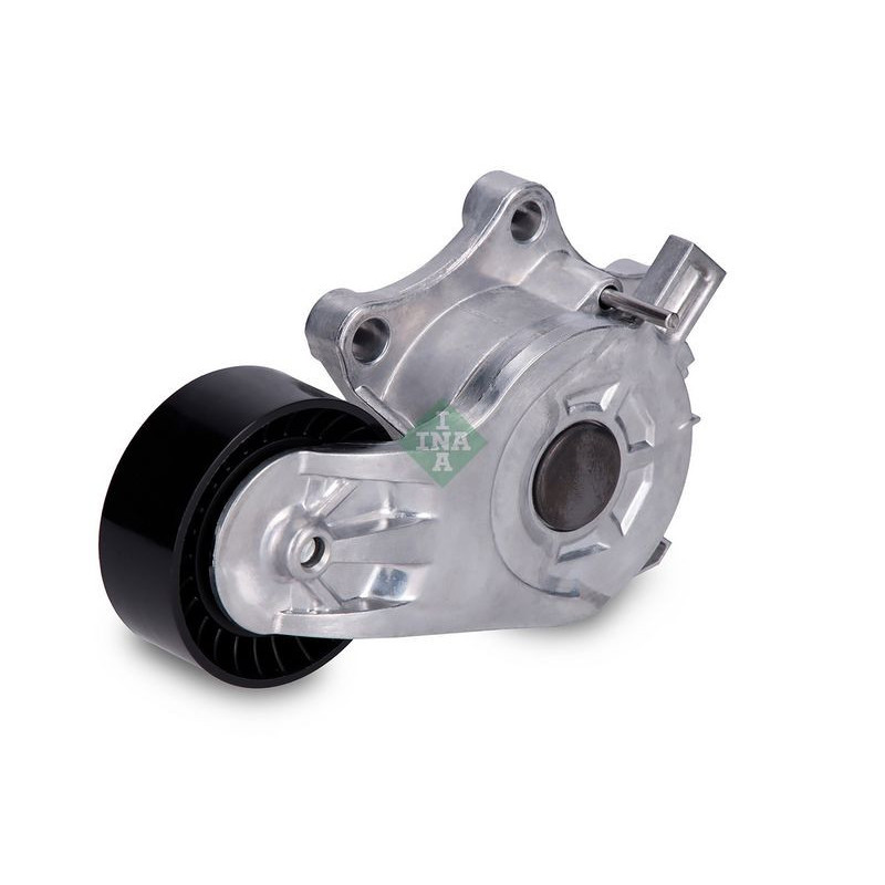 Tendicinghia trapezoidale - INA