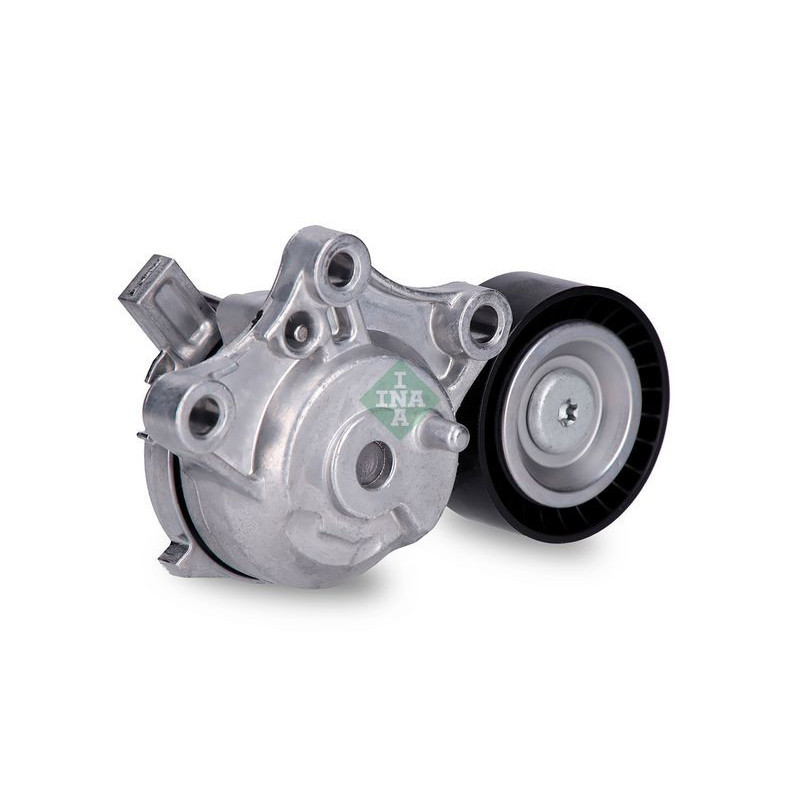 Tendicinghia trapezoidale - INA