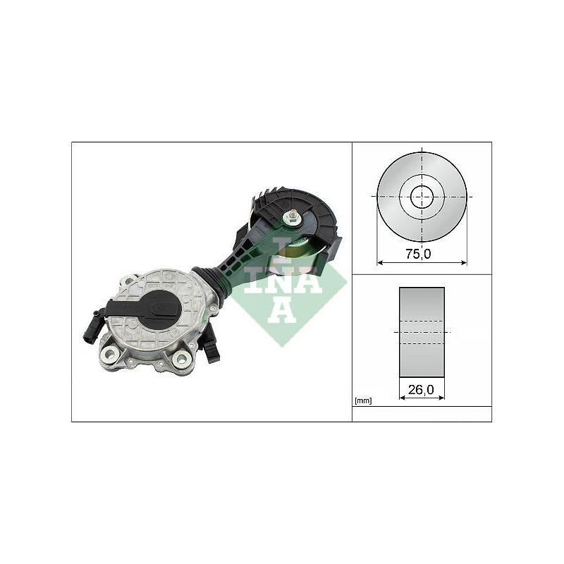 Tendicinghia trapezoidale - INA