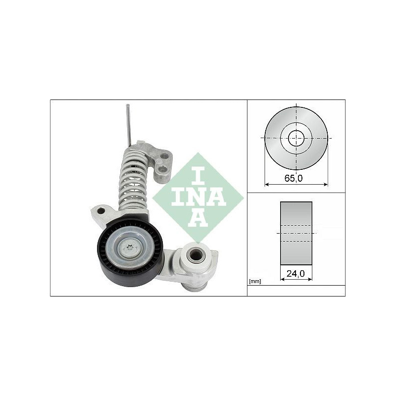 Tendicinghia trapezoidale - INA