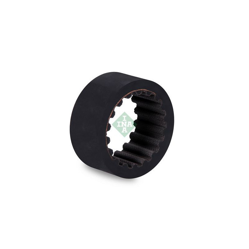 Tendicinghia trapezoidale - INA