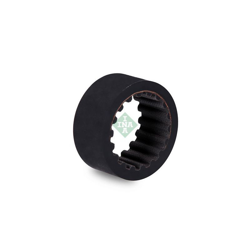 Tendicinghia trapezoidale - INA