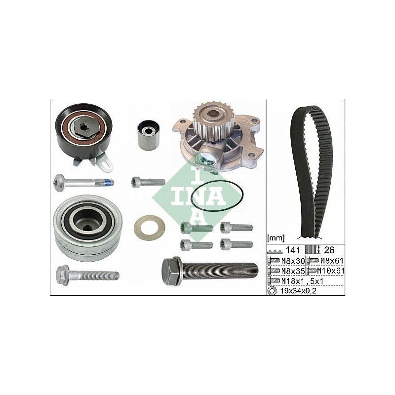 Tendicinghia trapezoidale - INA