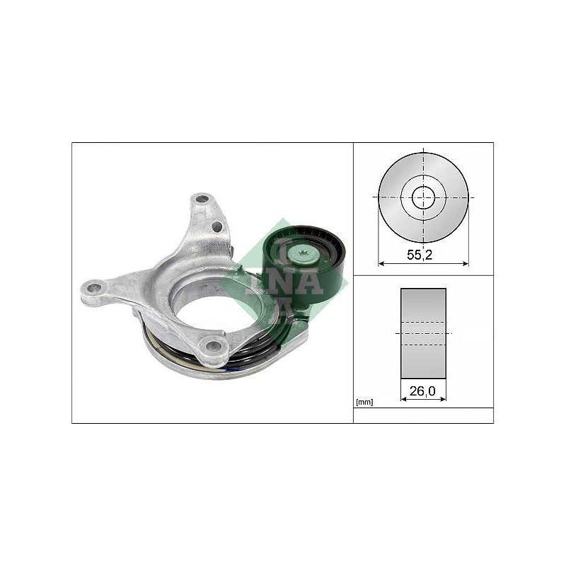 Tendicinghia trapezoidale - INA