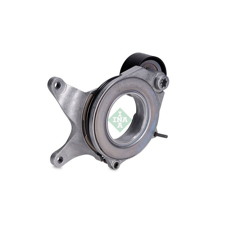 Tendicinghia trapezoidale - INA