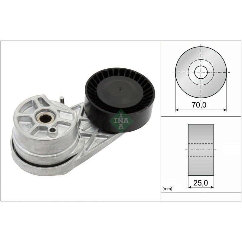 Tendicinghia trapezoidale - INA