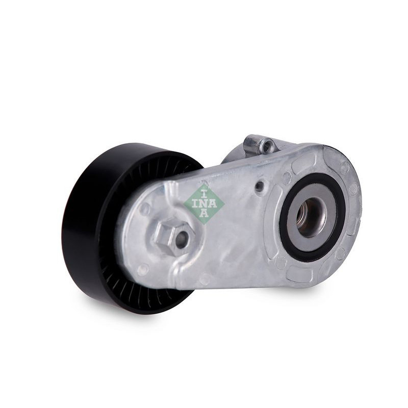 Tendicinghia trapezoidale - INA