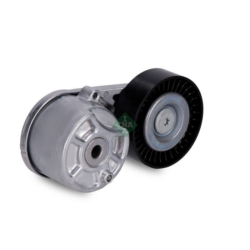 Tendicinghia trapezoidale - INA