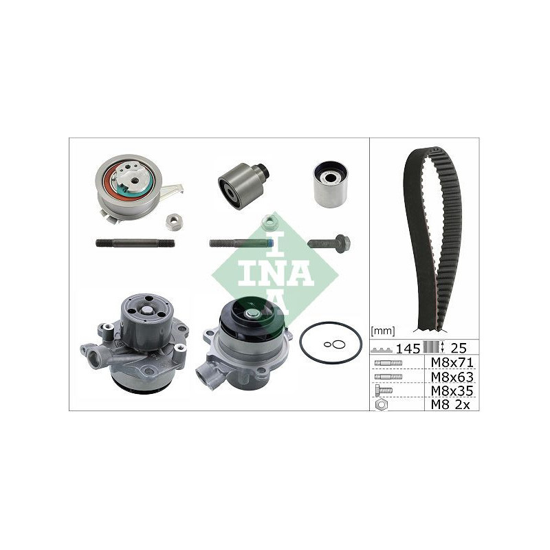 Tendicinghia trapezoidale - INA