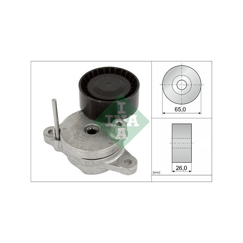 Tendicinghia trapezoidale - INA