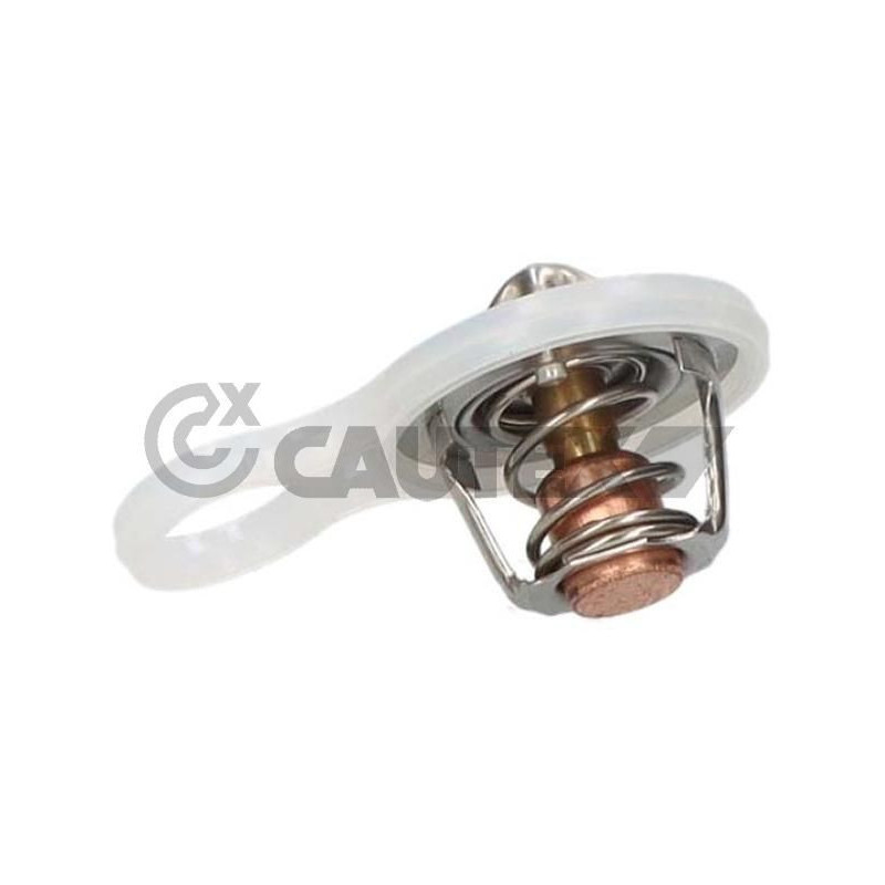 Termostato raffreddamento - CAUTEX GOMMA E PARTI MOTORE