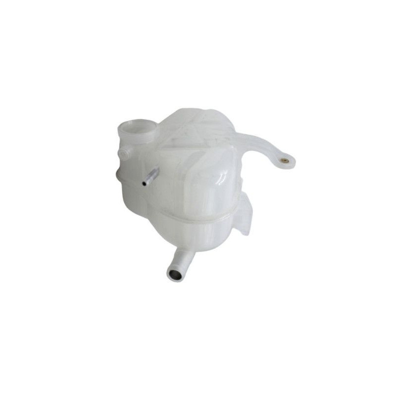 Vaschetta espansione - GOOM