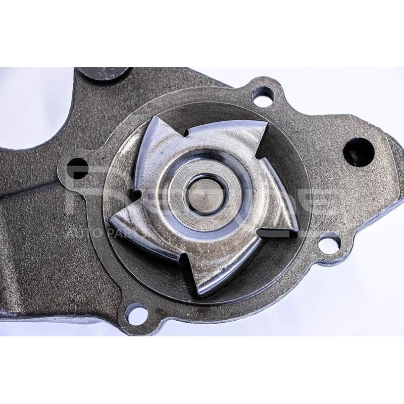 Pompa acqua - RED LINE