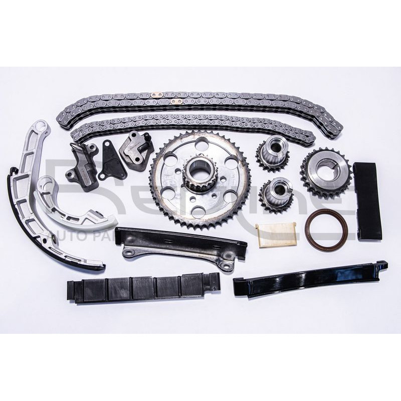 Cinghia/catena distribuzione - RED LINE