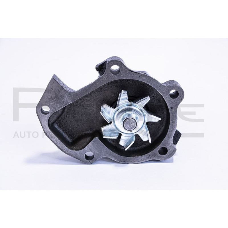 Pompa acqua - RED LINE