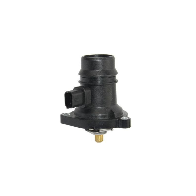 Termostato raffreddamento - GOOM