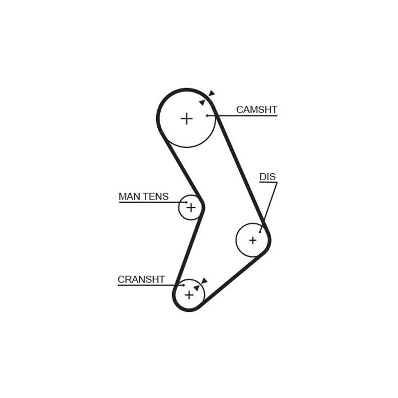 Cinghia/catena distribuzione - GATES