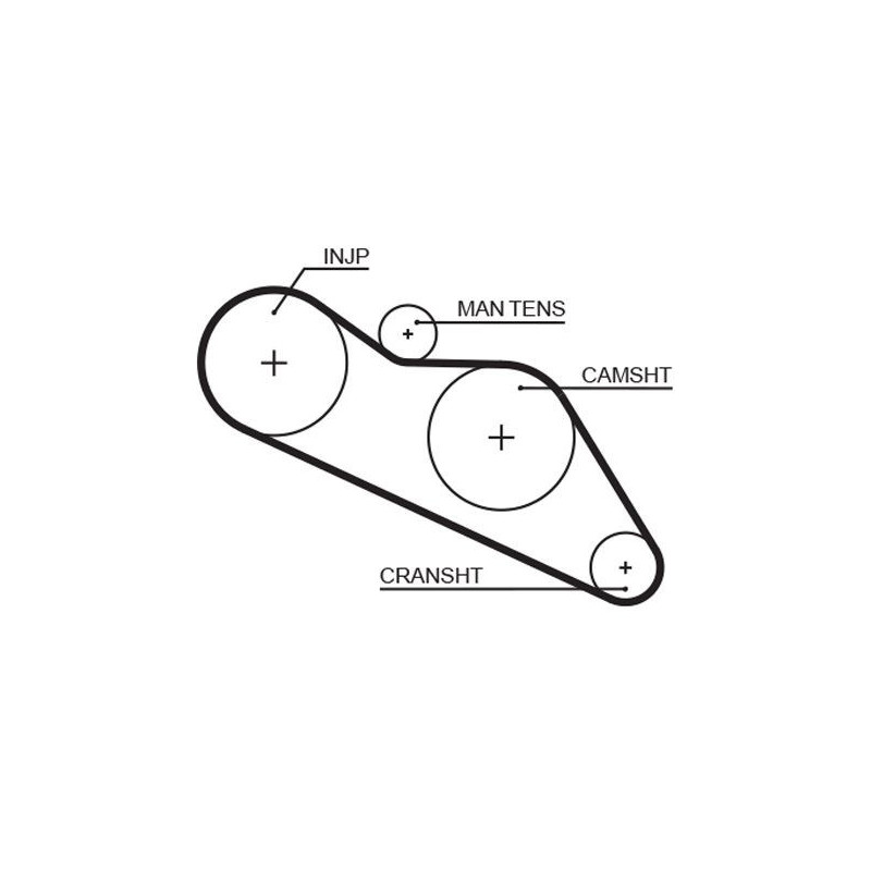 Cinghia/catena distribuzione - GATES