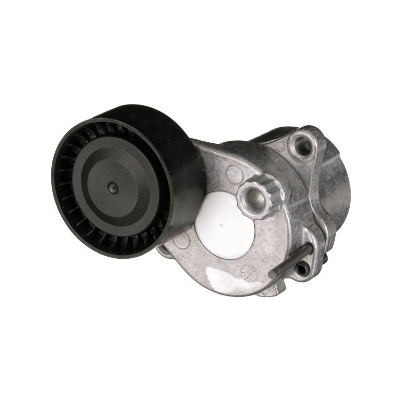 Tendicinghia trapezoidale - GATES