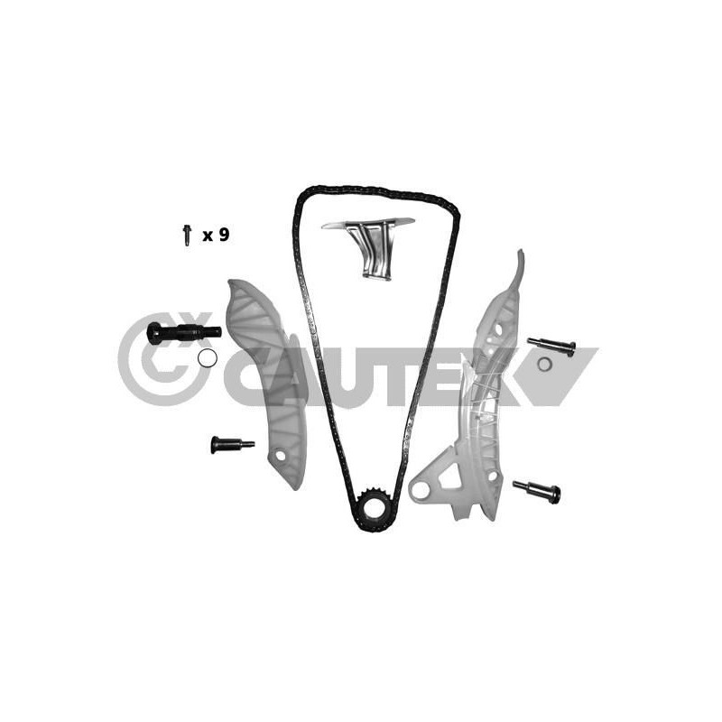 Cinghia/catena distribuzione - CAUTEX GOMMA E PARTI MOTORE