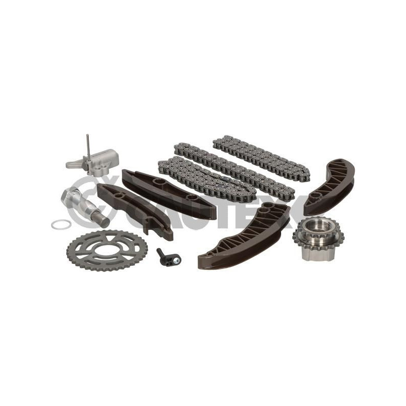 Cinghia/catena distribuzione - CAUTEX GOMMA E PARTI MOTORE