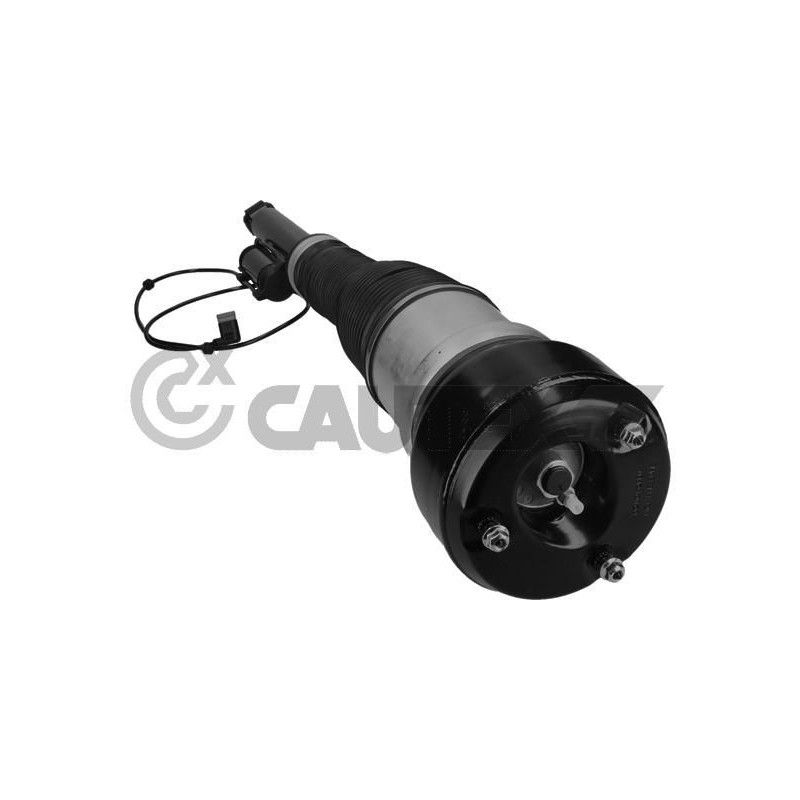 Ammortizzatore asse posteriore - CAUTEX GOMMA E PARTI MOTORE