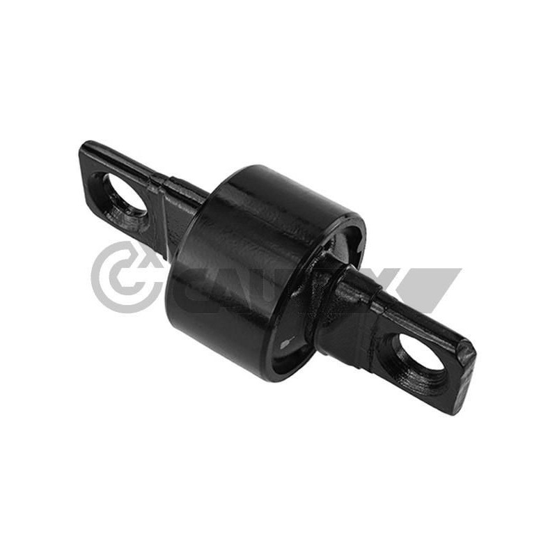 Braccio oscillante asse posteriore - CAUTEX GOMMA E PARTI MOTORE