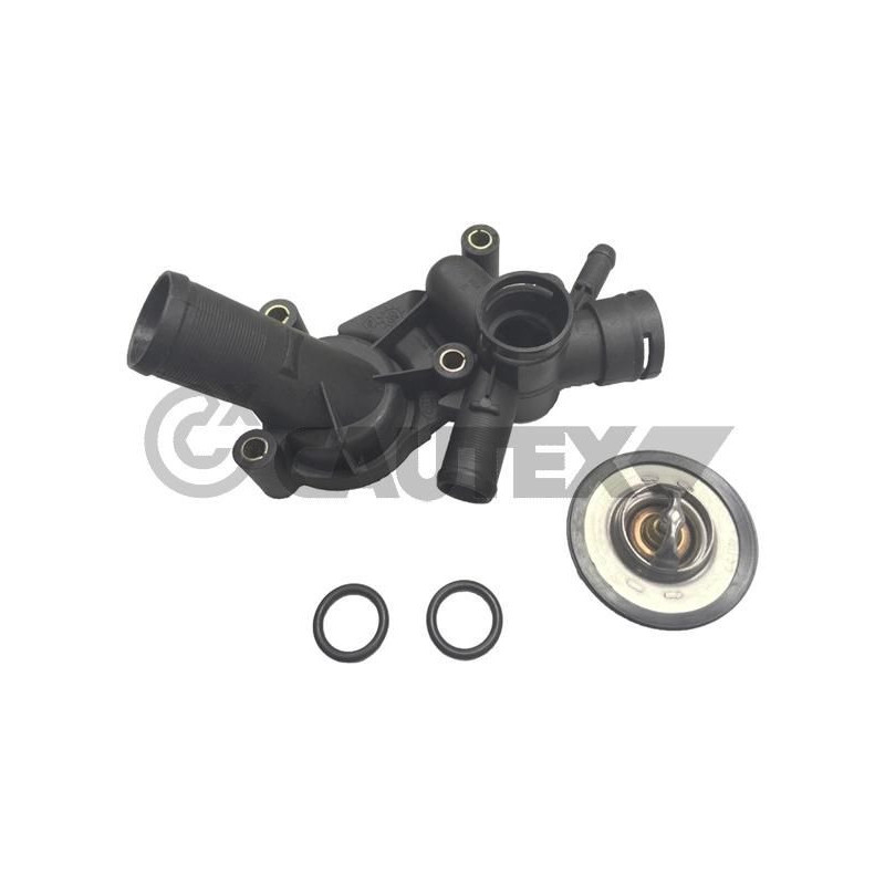 Termostato raffreddamento - CAUTEX GOMMA E PARTI MOTORE