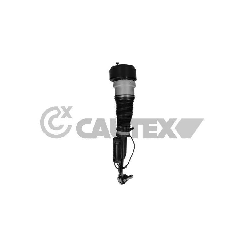 Ammortizzatore asse anteriore - CAUTEX GOMMA E PARTI MOTORE