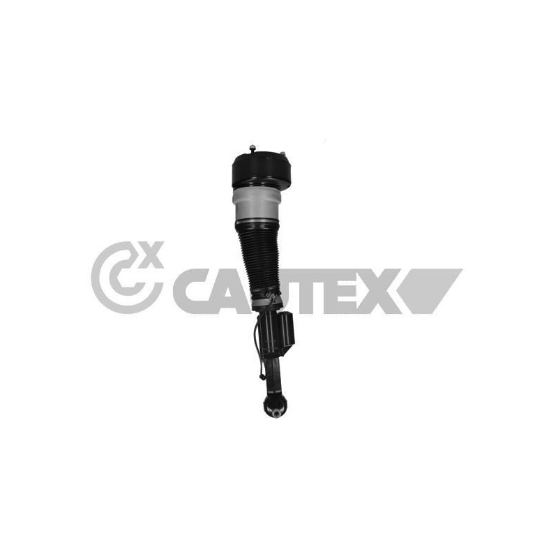 Ammortizzatore asse anteriore - CAUTEX GOMMA E PARTI MOTORE