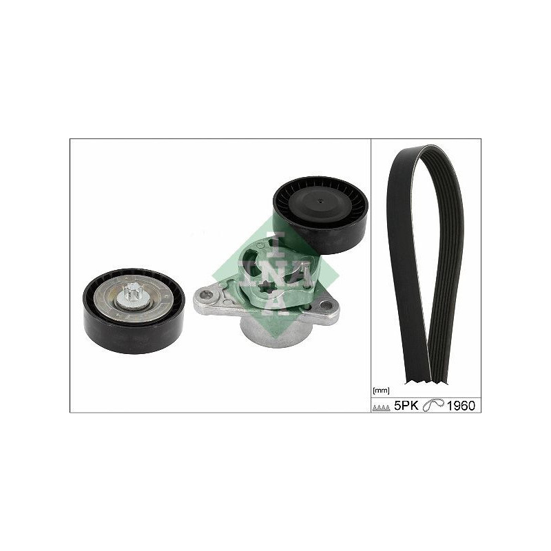 Tendicinghia trapezoidale - INA