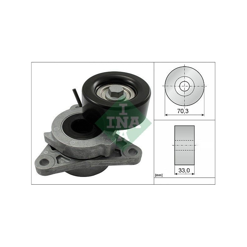 Tendicinghia trapezoidale - INA