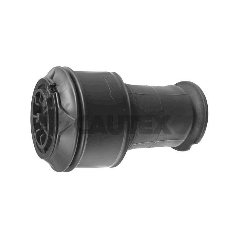 Ammortizzatore asse posteriore - CAUTEX GOMMA E PARTI MOTORE