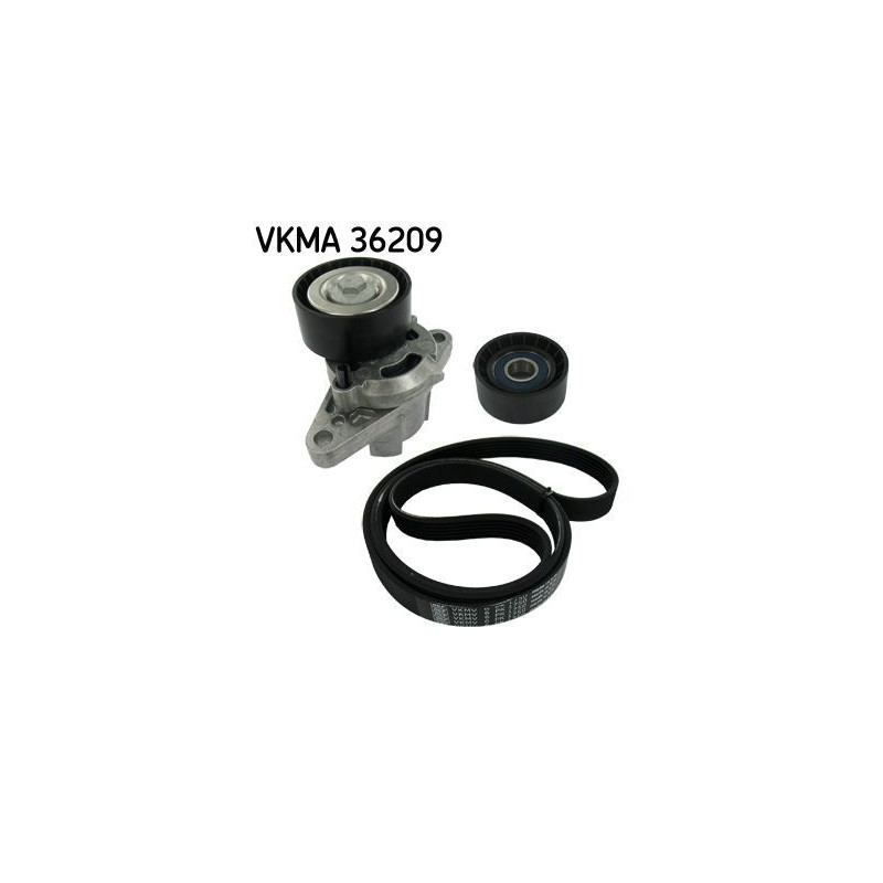 Tendicinghia trapezoidale - SKF