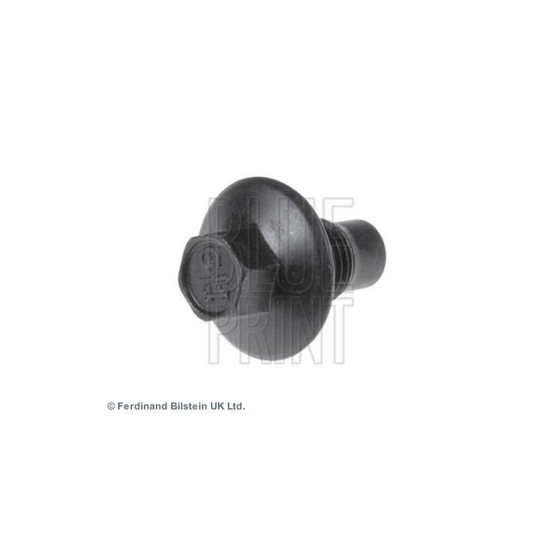 Vaschetta espansione - BLUE PRINT