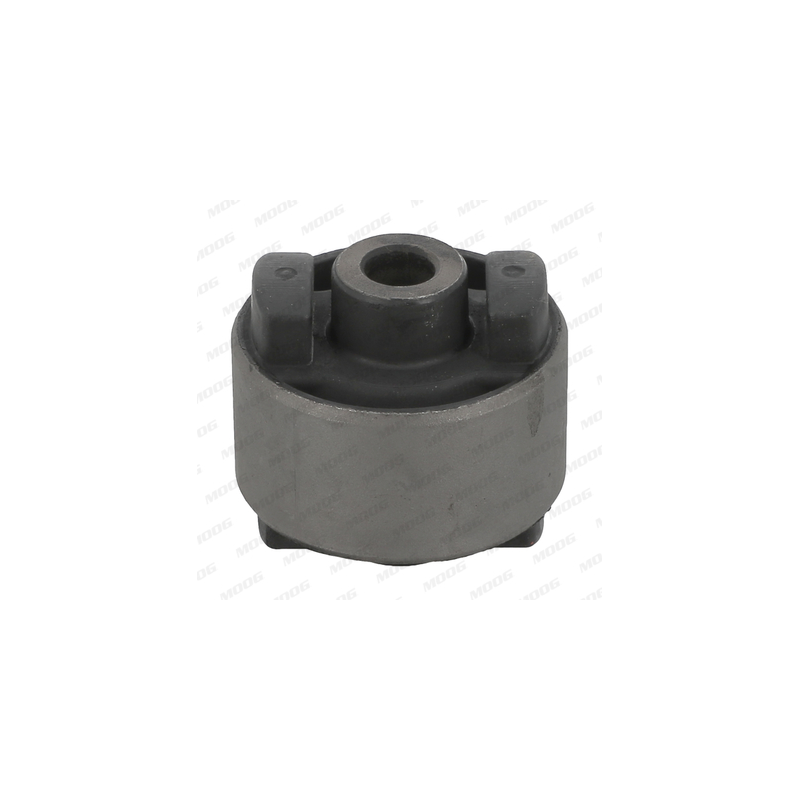 Braccio oscillante asse posteriore - MOOG