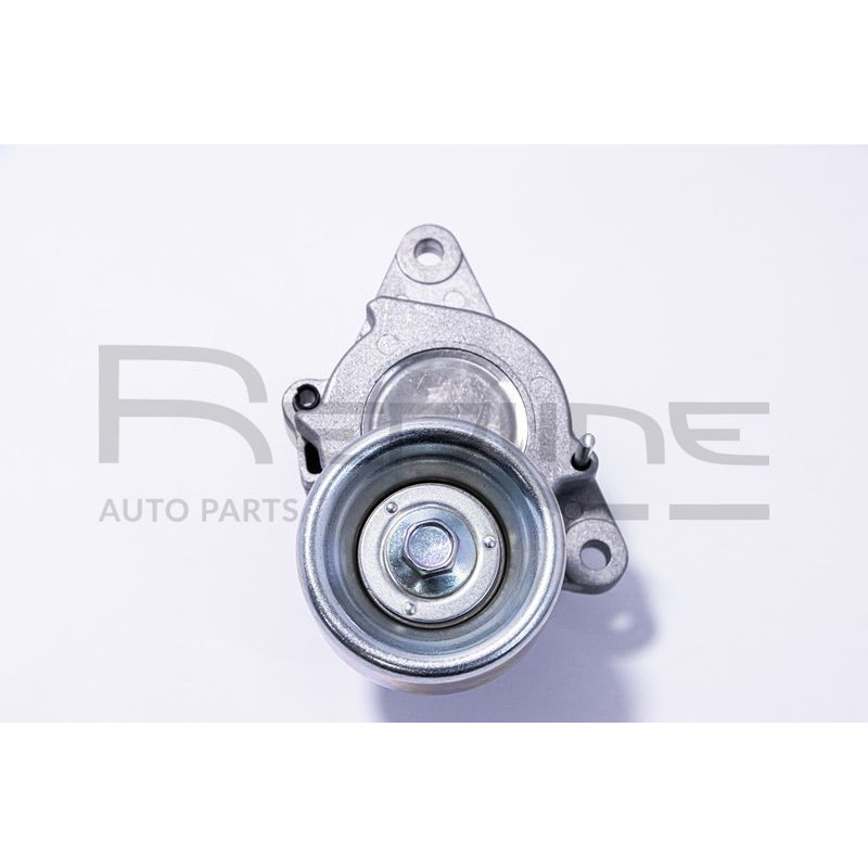 Tendicinghia trapezoidale - RED LINE