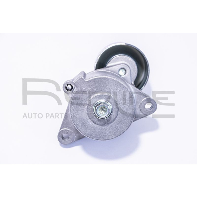 Tendicinghia trapezoidale - RED LINE