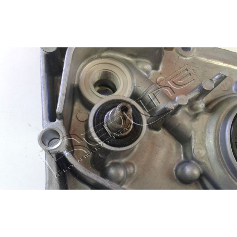 Cinghia/catena distribuzione - RED LINE