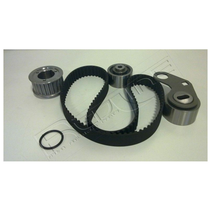 Tendicinghia trapezoidale - RED LINE