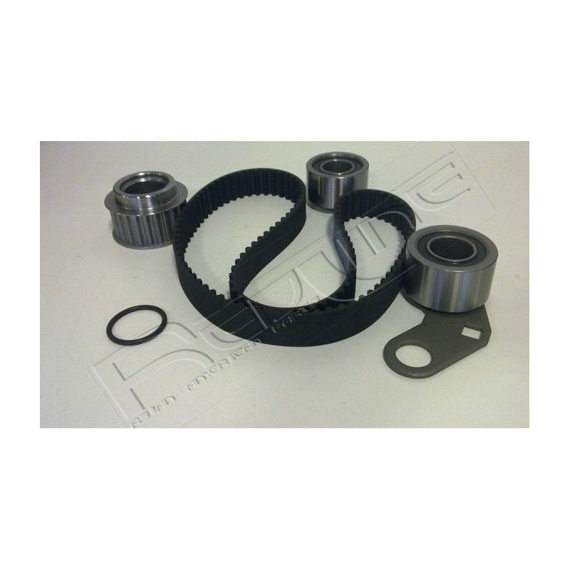 Tendicinghia trapezoidale - RED LINE