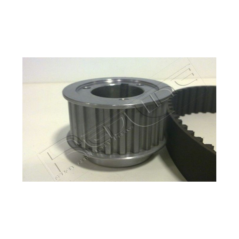 Tendicinghia trapezoidale - RED LINE