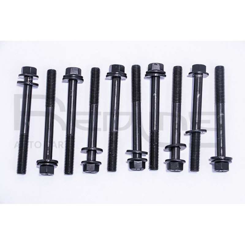 Tendicinghia trapezoidale - RED LINE