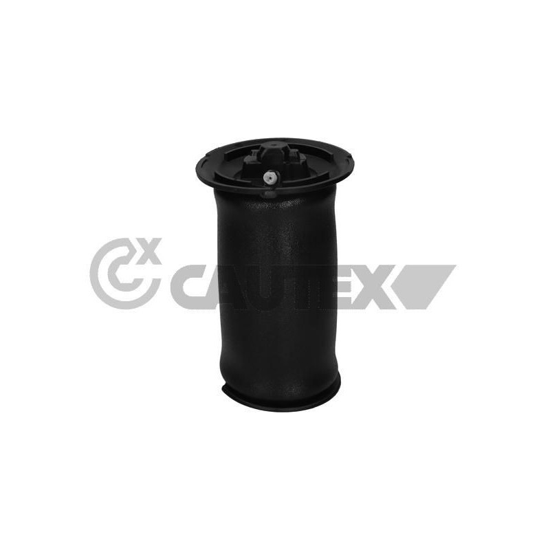 Ammortizzatore asse posteriore - CAUTEX GOMMA E PARTI MOTORE