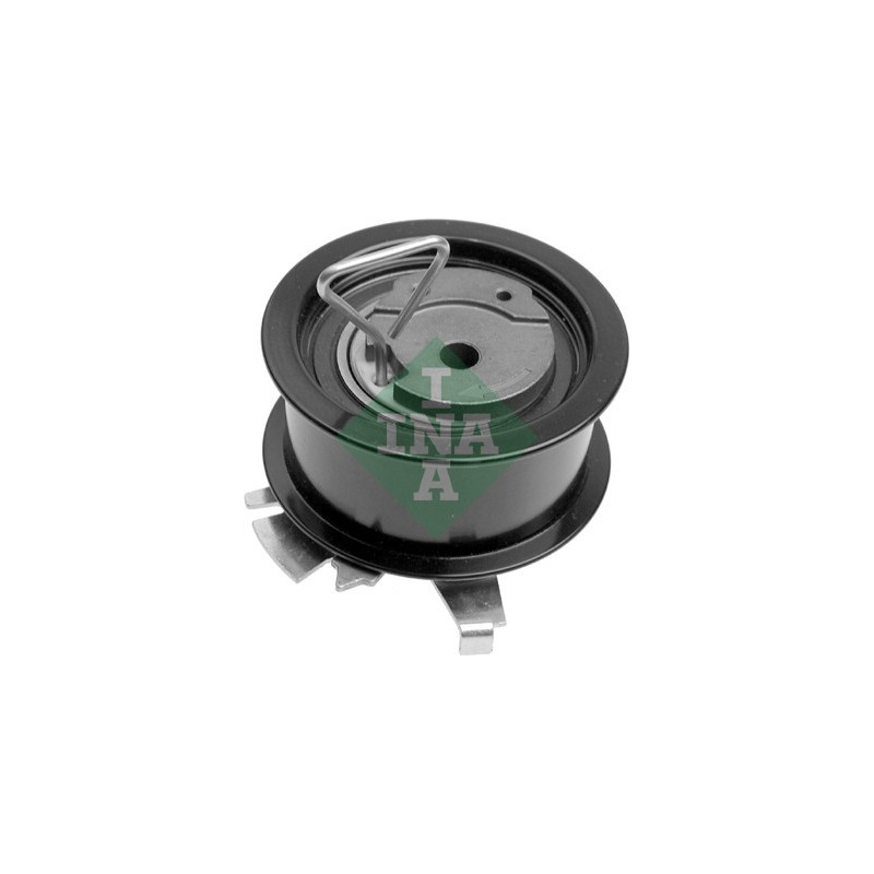 Tendicinghia distribuzione - INA