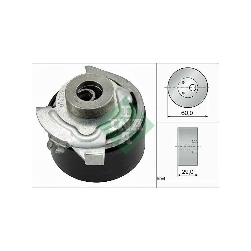 Tendicinghia distribuzione - INA