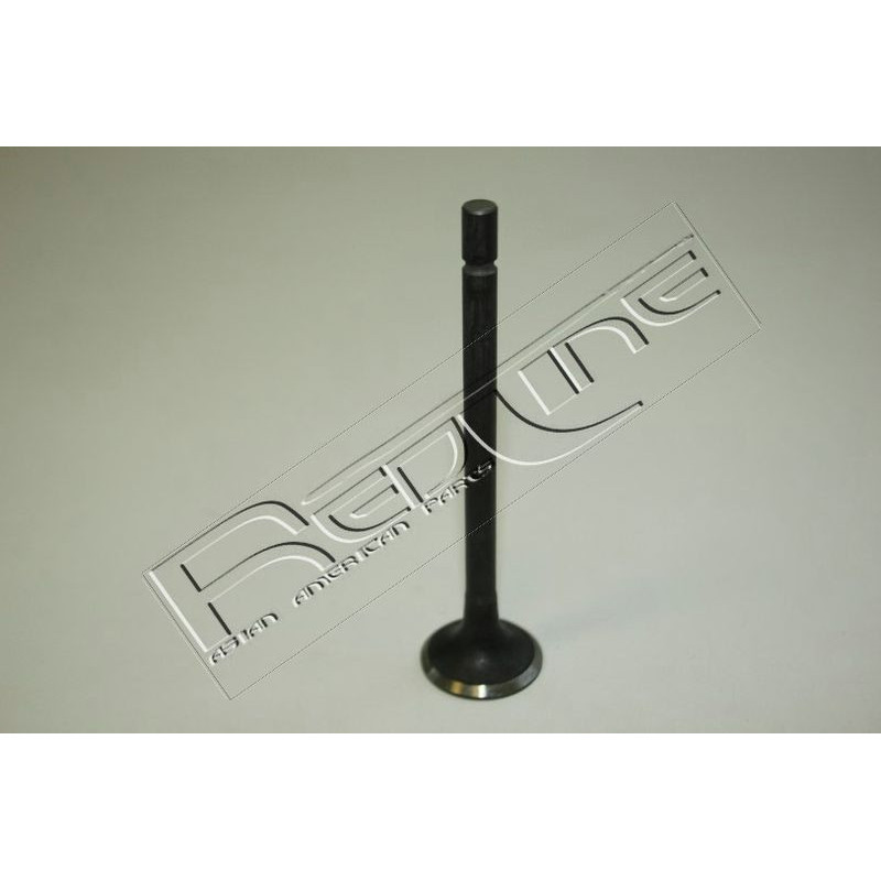 Pompa acqua - RED LINE