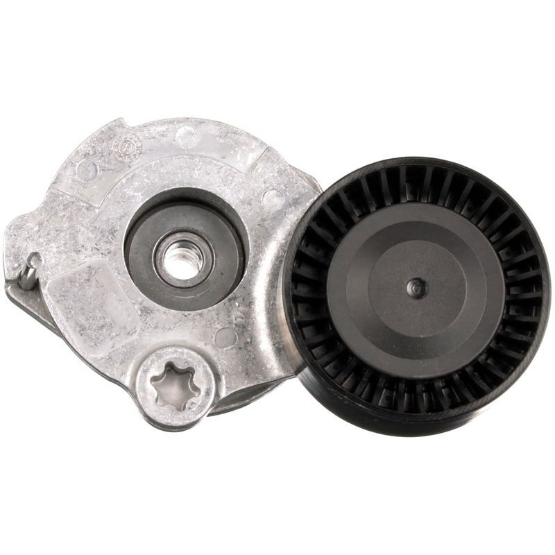 Tendicinghia trapezoidale - GATES